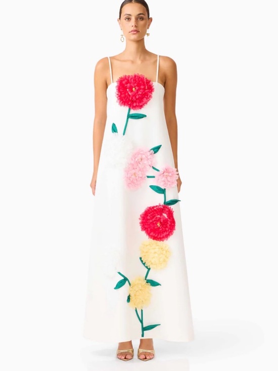 Elliatt Dresses & Skirts - Elliatt Buttercup Embroidered White Maxi Dress